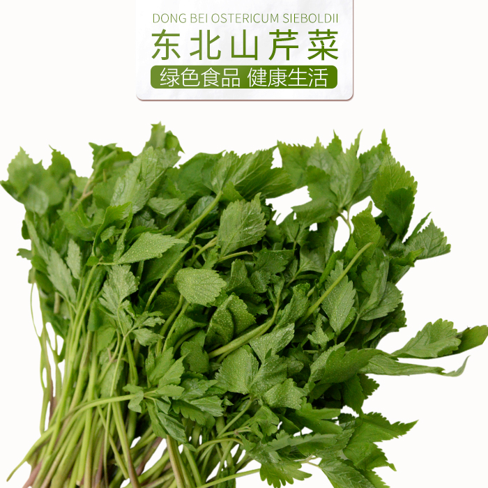 東北山野菜 新鮮山芹菜 大葉芹